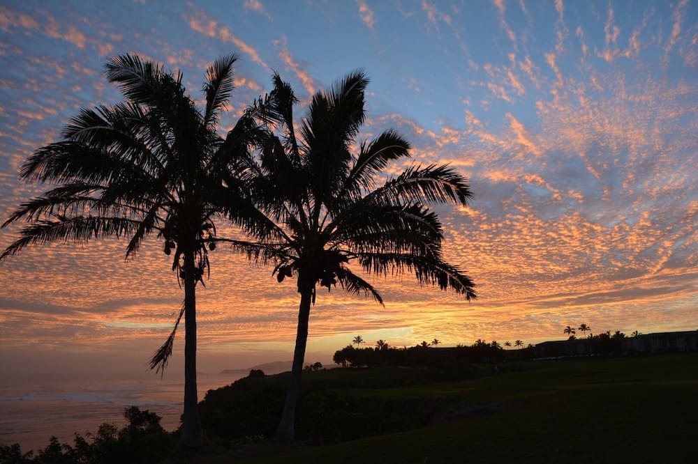 Photo of Others in Wailua