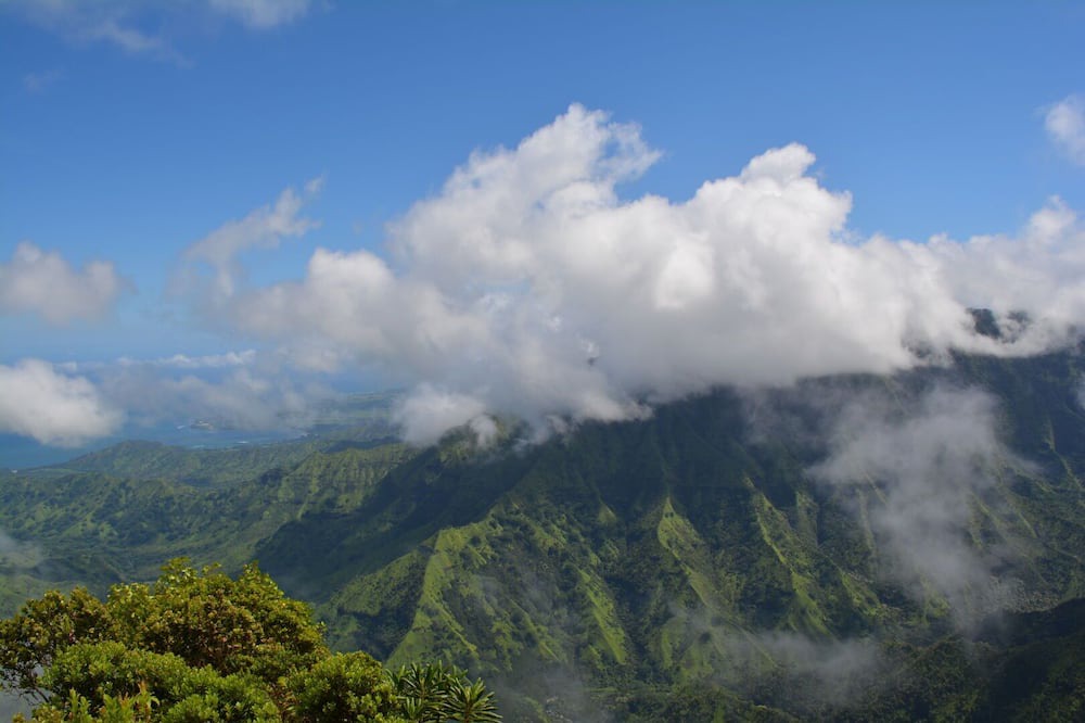 Photo of Others in Wailua