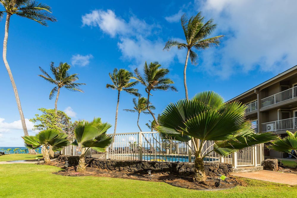 Photo of Others in Wailua