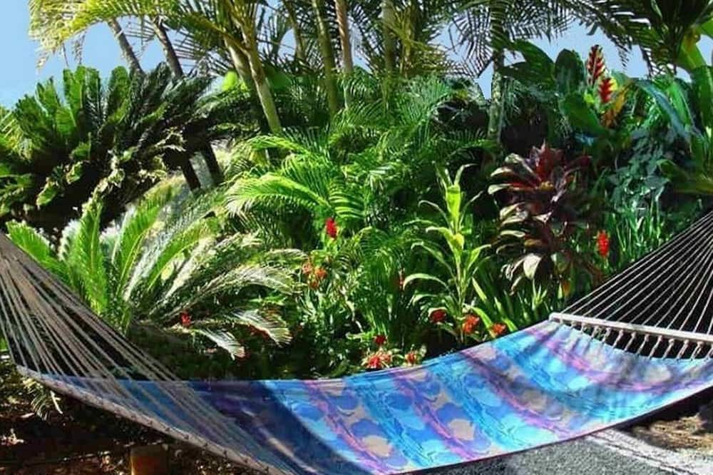 Photo of Outdoor in Pauwela