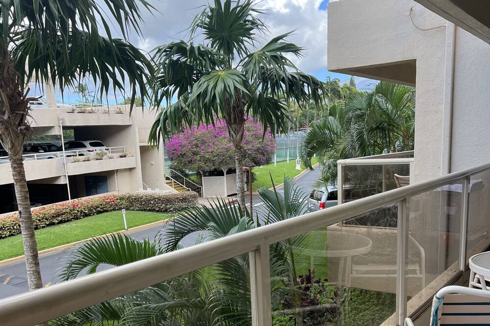 Photo of Outdoor in Kihei