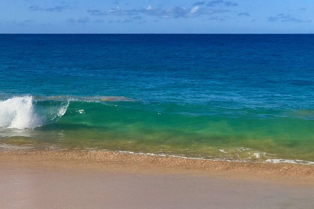 Photo of Others in Kihei