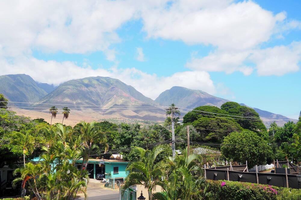 Photo of Others in Historic Lahaina Front Street
