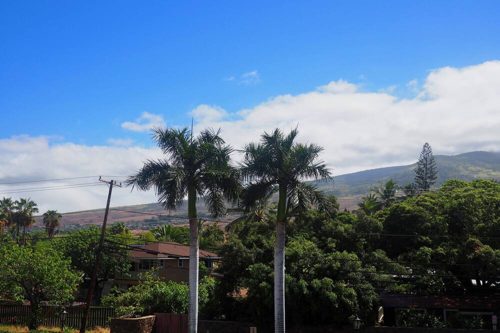 Photo of Outdoor in Historic Lahaina Front Street