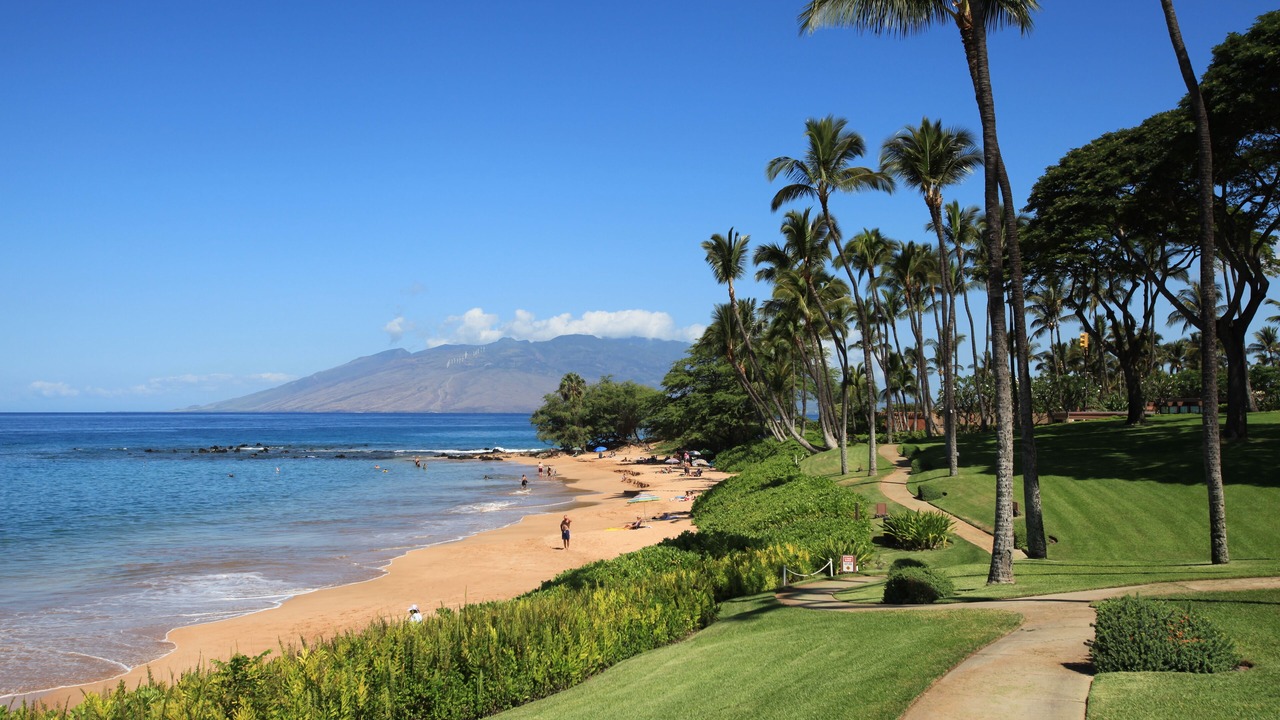 Photo of Others in Wailea