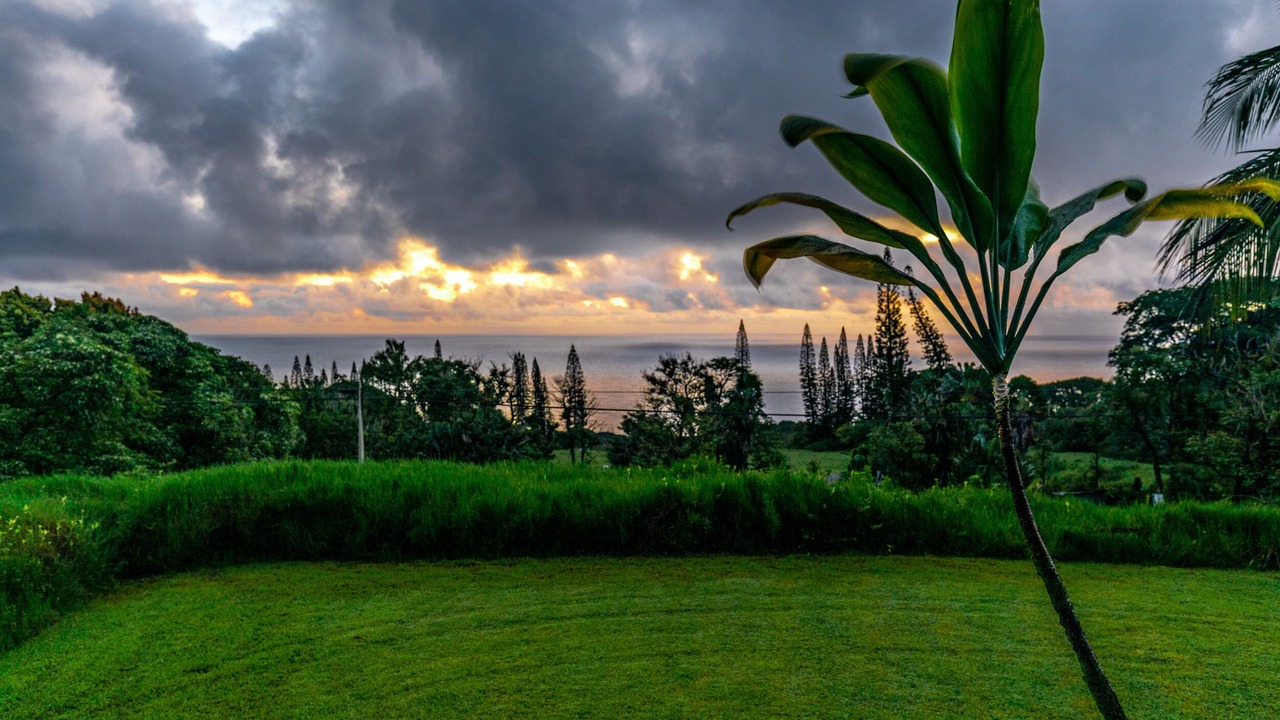 Photo of Outdoor in Hana