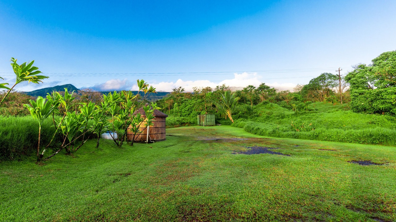 Photo of Outdoor in Hana