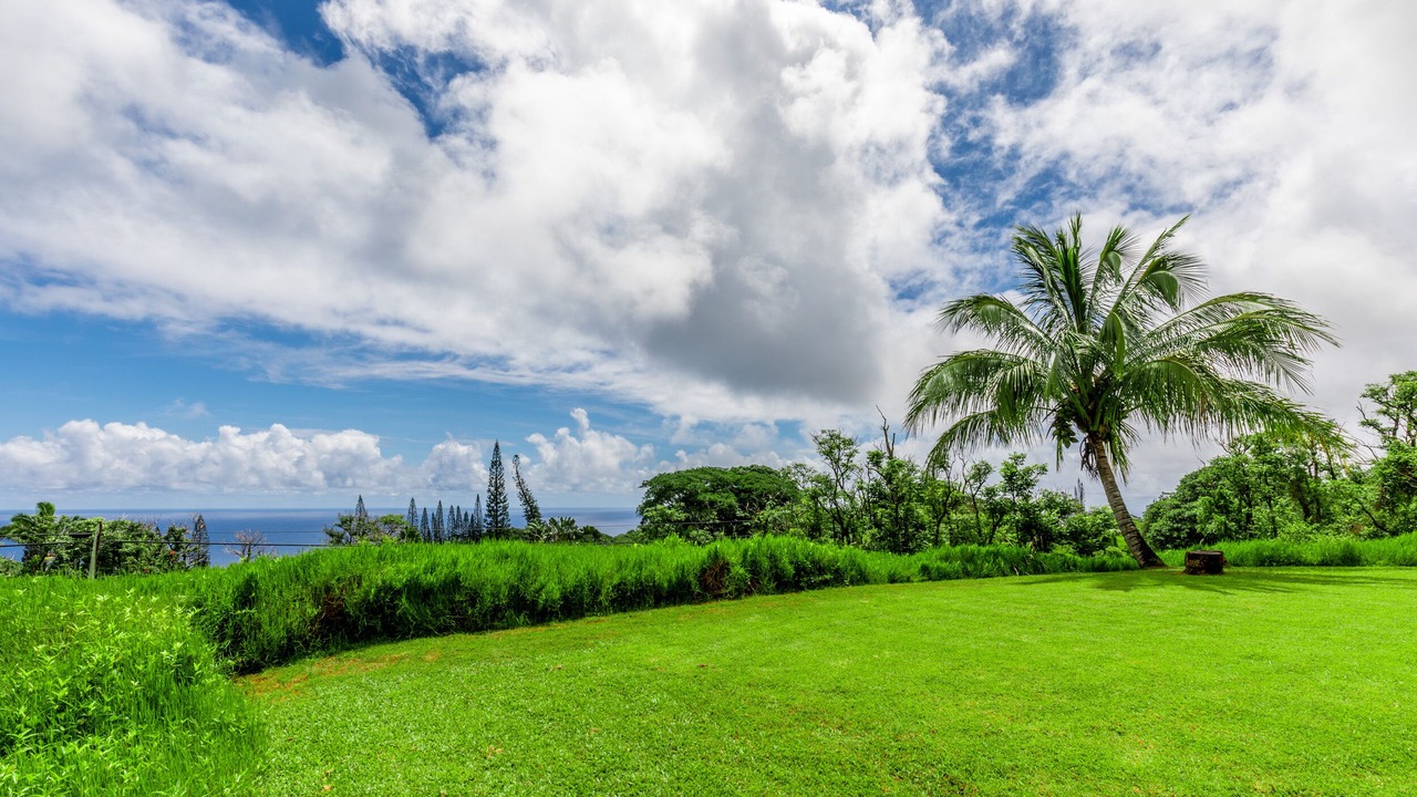 Photo of Outdoor in Hana