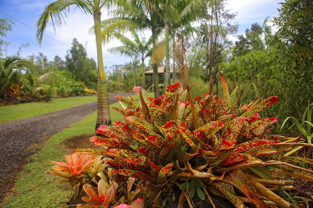 Photo of Others in Keaau
