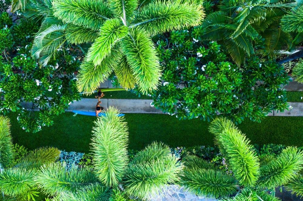 Photo of Others in Historic Lahaina Front Street