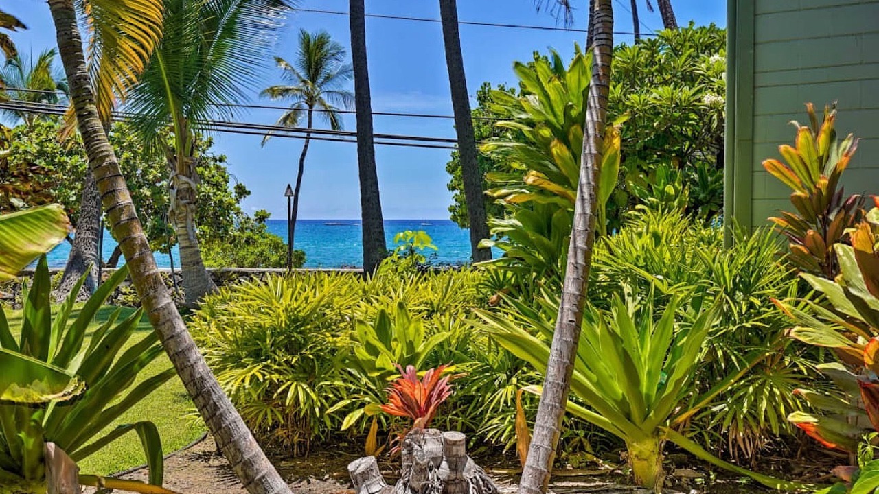 Photo of Outdoor in Historic Kailua Village