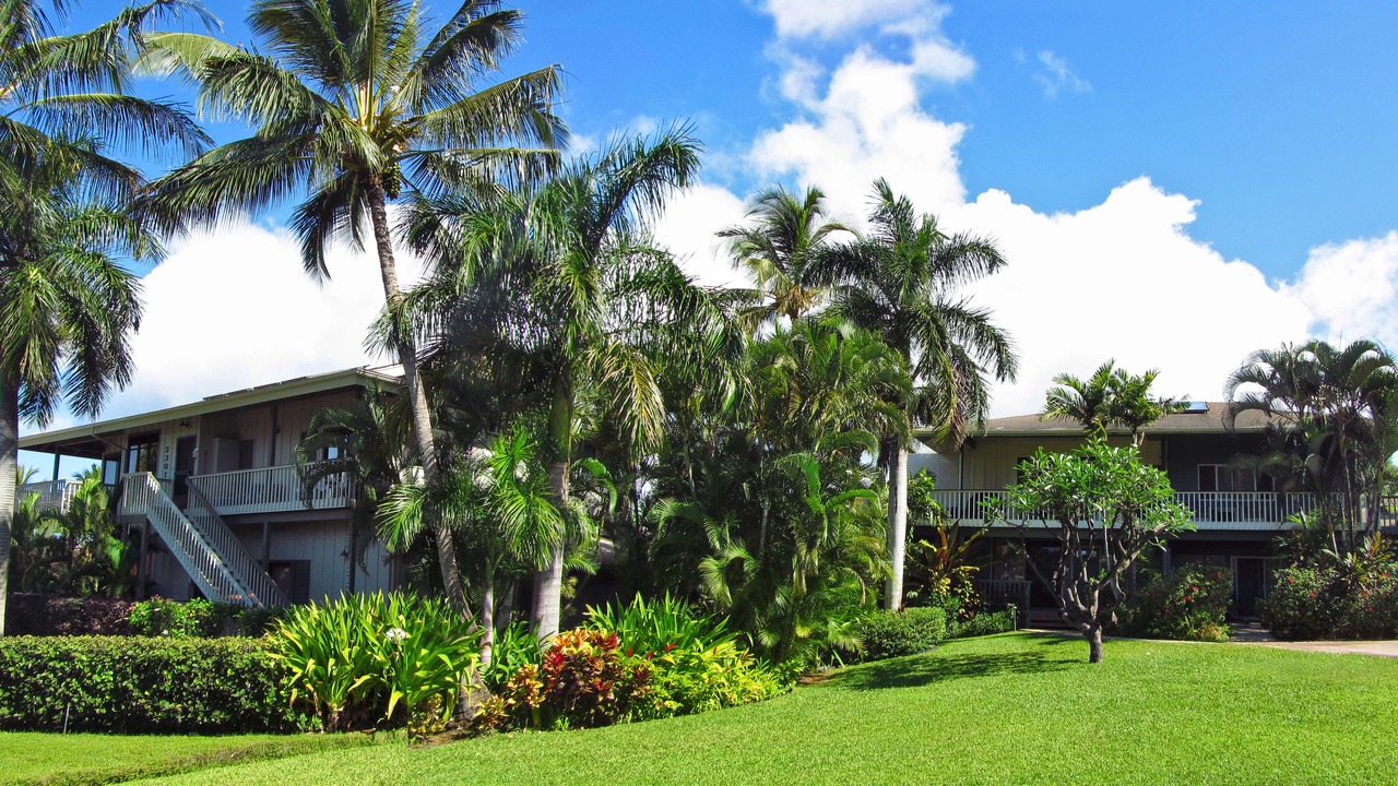 Photo of Others in Poipu