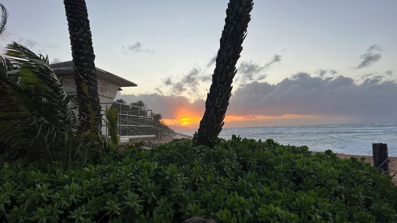 Photo of Others in Pupukea