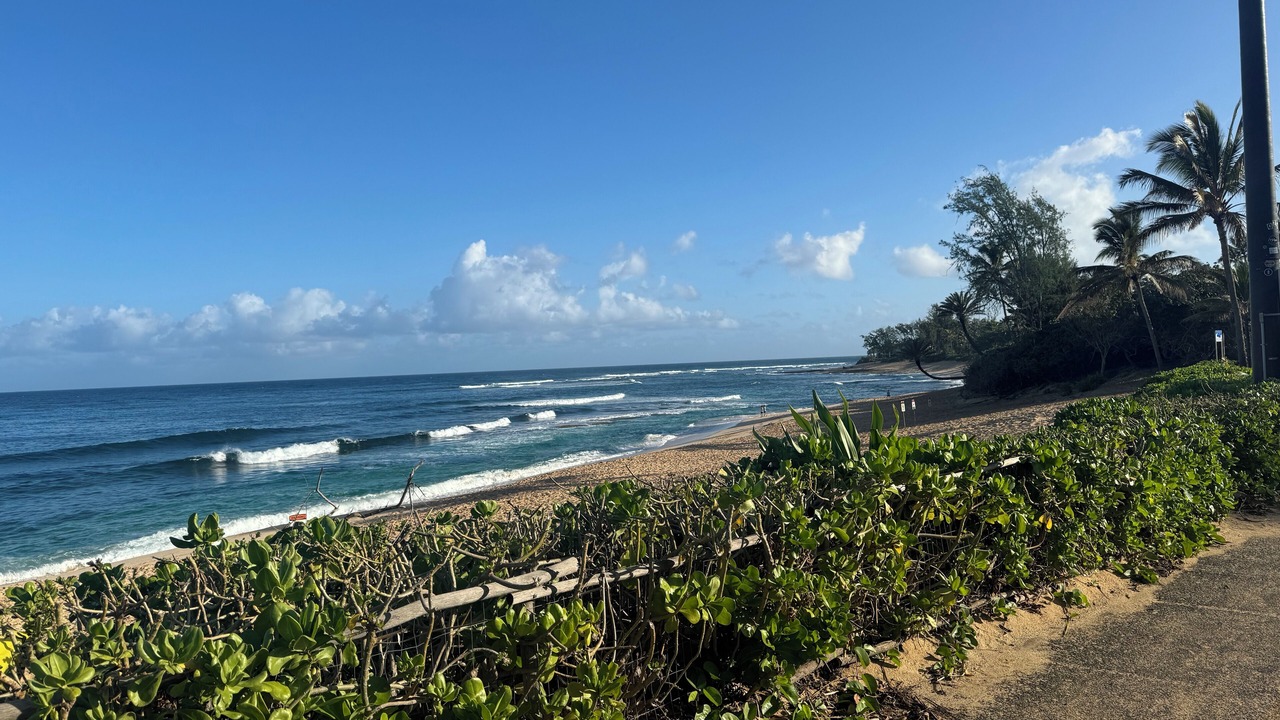 Photo of Others in Pupukea