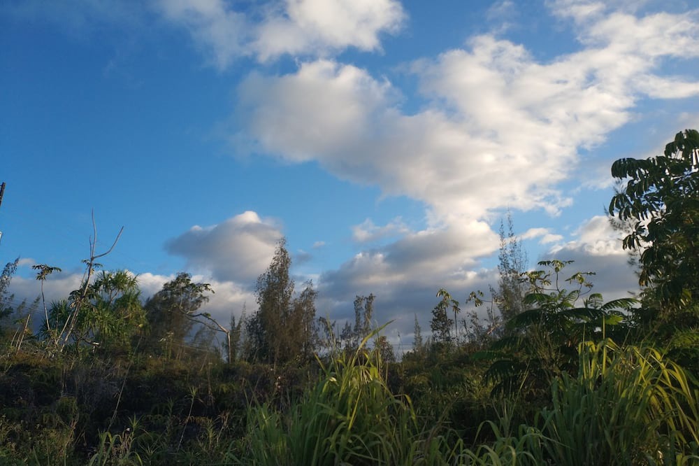 Photo of Outdoor in Keaau