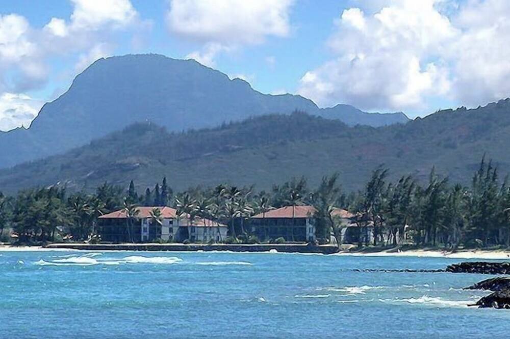 Photo of Others in Kapaa