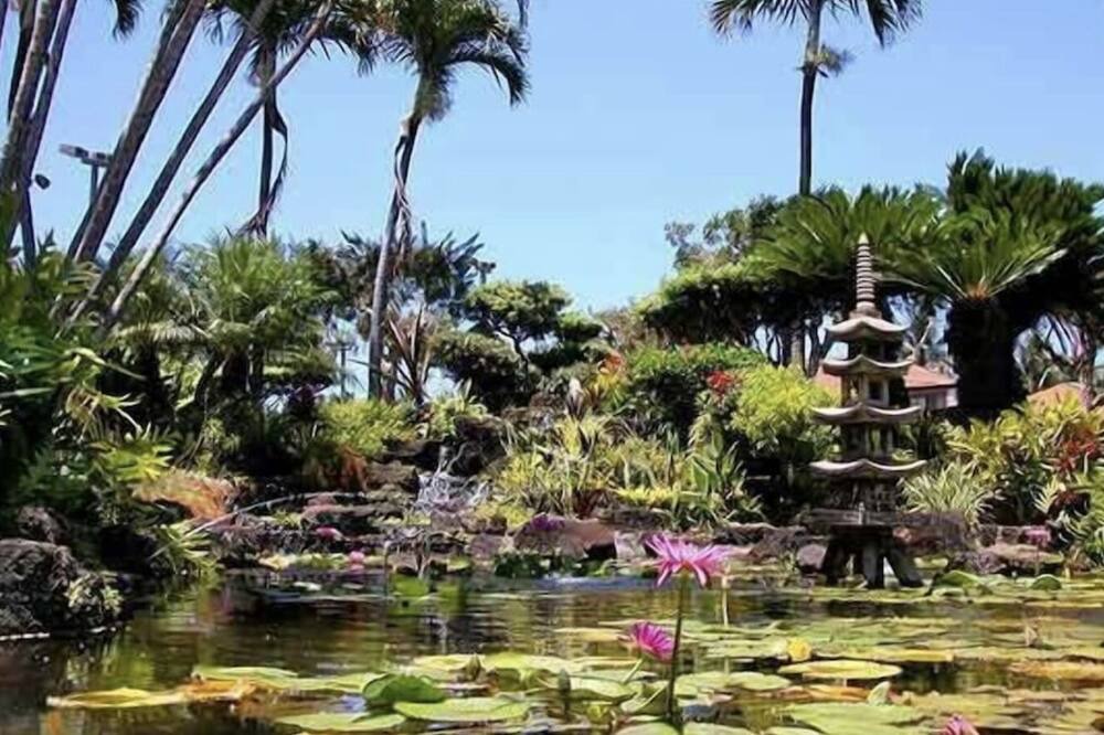 Photo of Outdoor in Kapaa