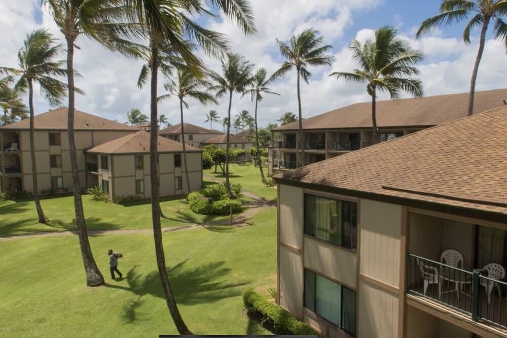 Photo of Outdoor in Kapaa