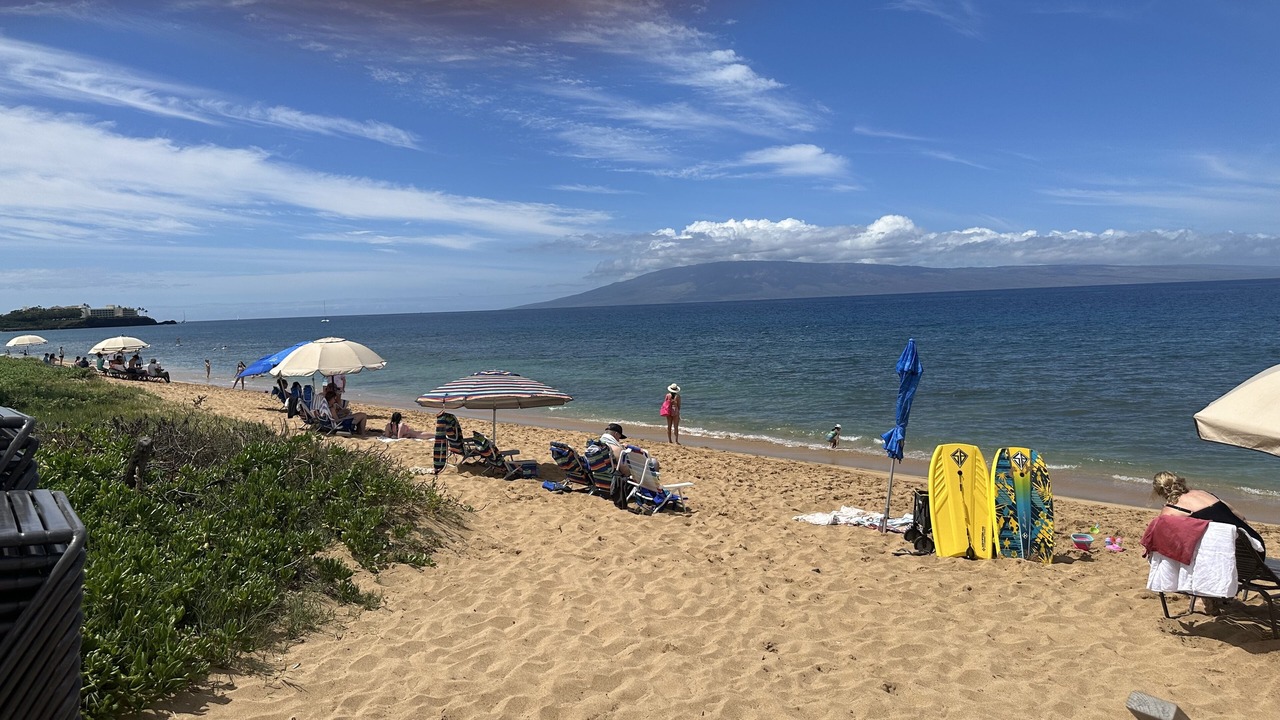 Photo of Others in Lahaina