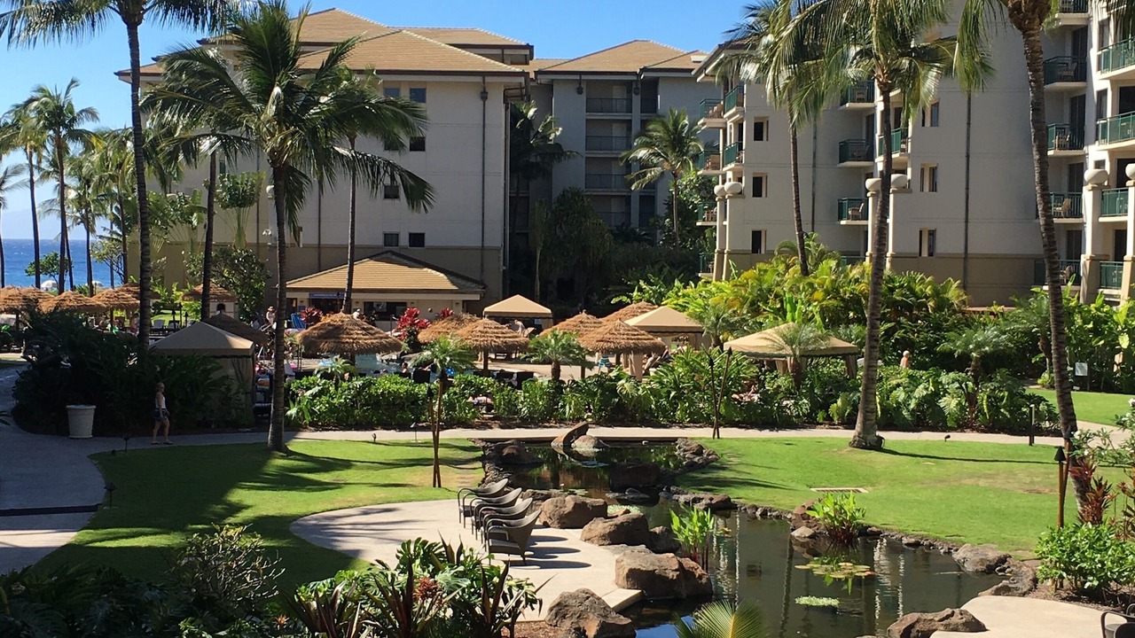Photo of Outdoor in Lahaina