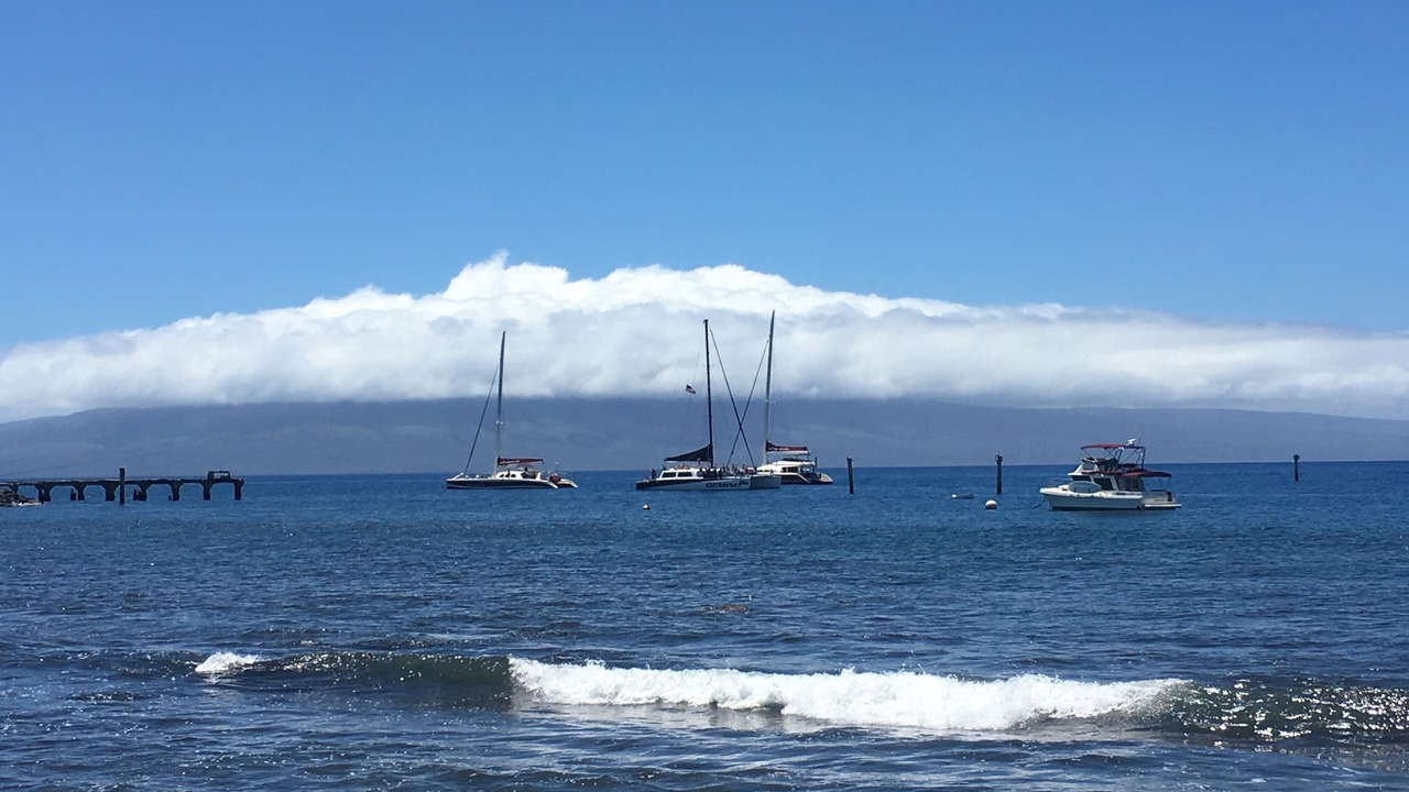 Photo of Others in Lahaina