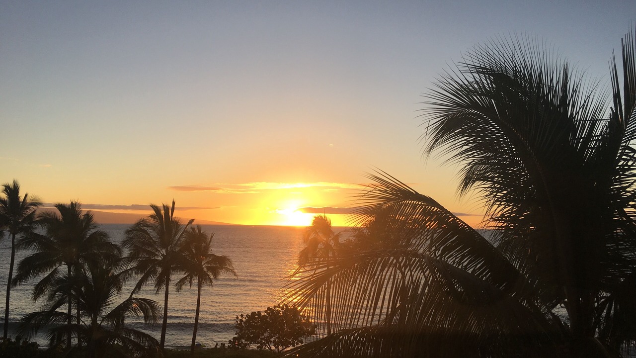 Photo of Others in Lahaina