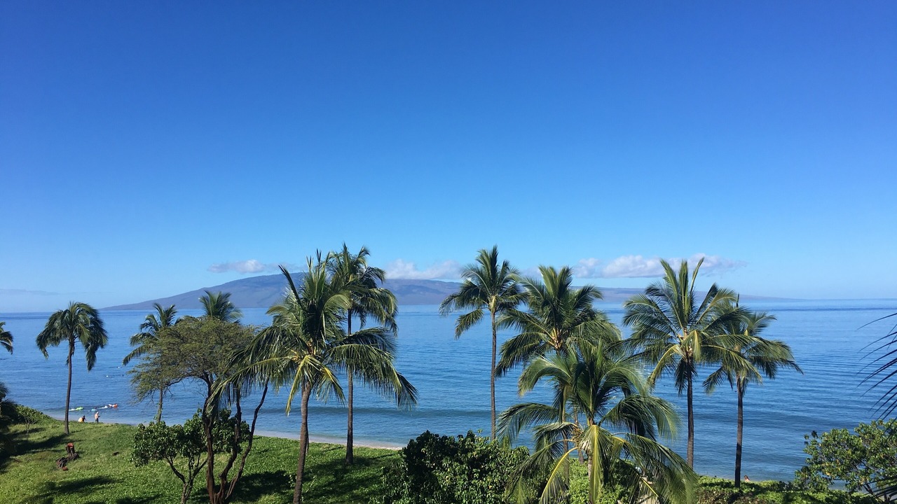 Photo of Outdoor in Lahaina