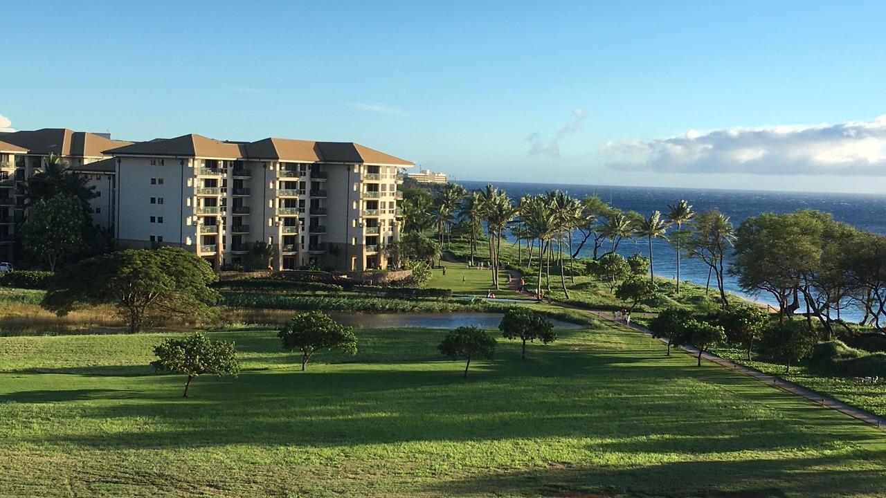 Photo of Outdoor in Lahaina