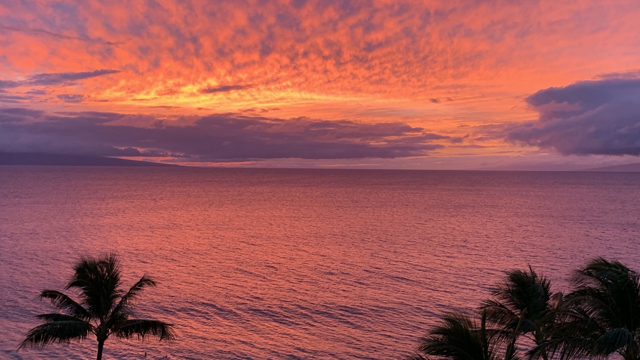Photo of Others in Lahaina