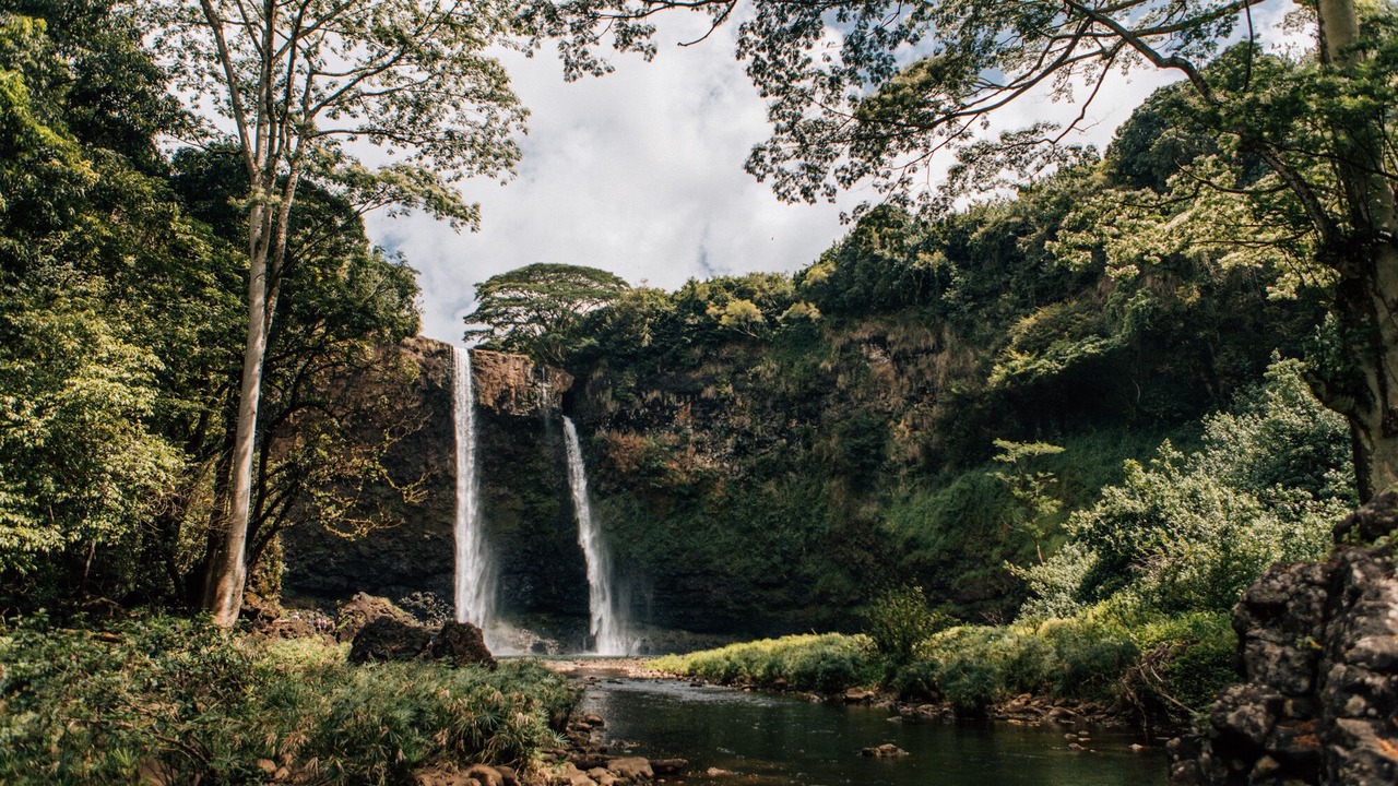 Photo of Others in Hanamaulu