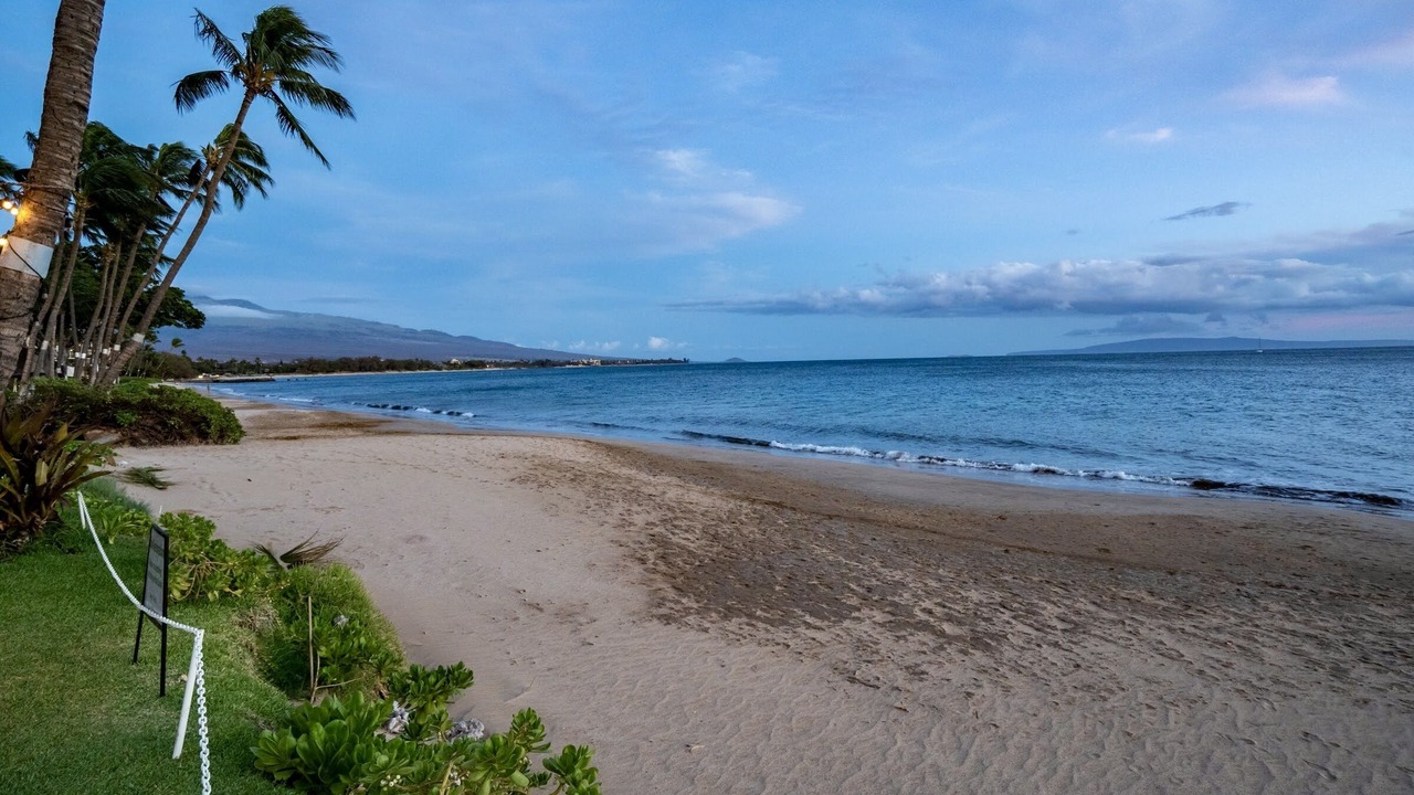 Photo of Others in Kihei