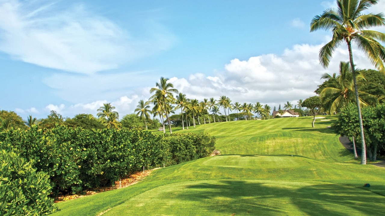 Photo of Others in Keauhou