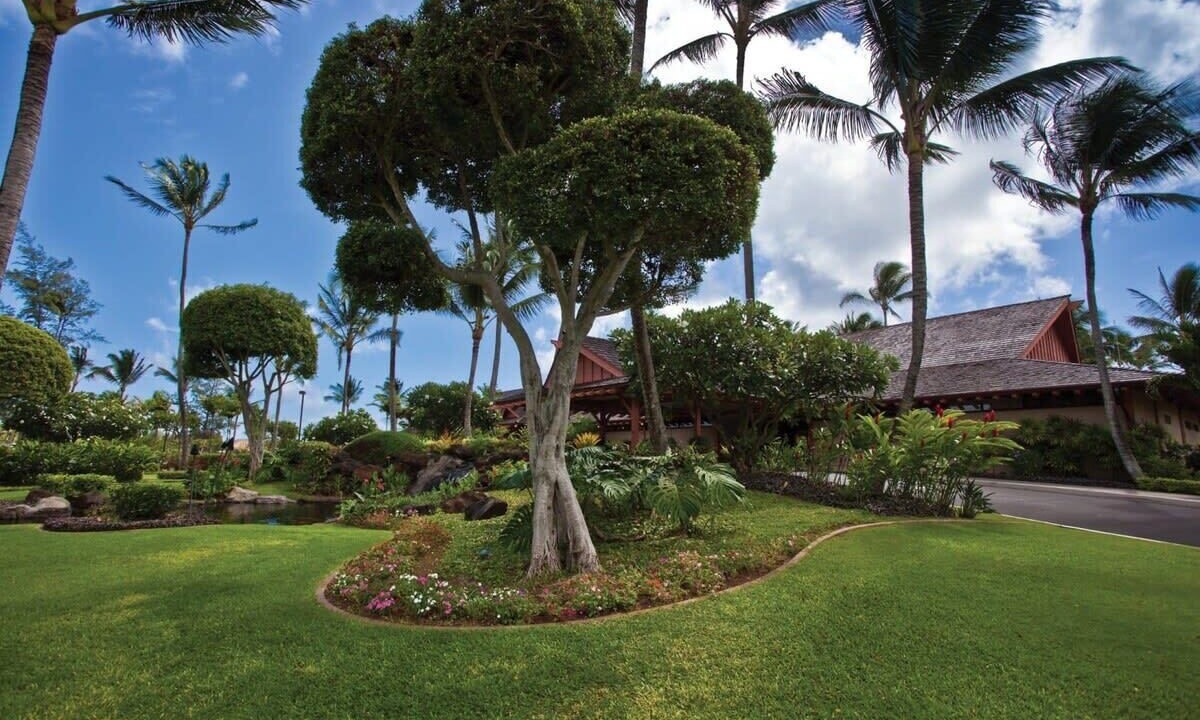Photo of Outdoor in Wailua