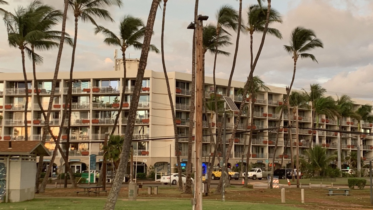 Photo of Others in Kihei