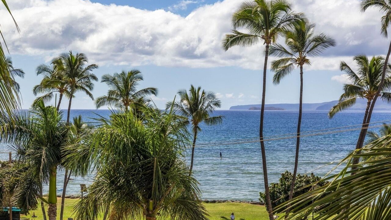 Photo of Others in Kihei