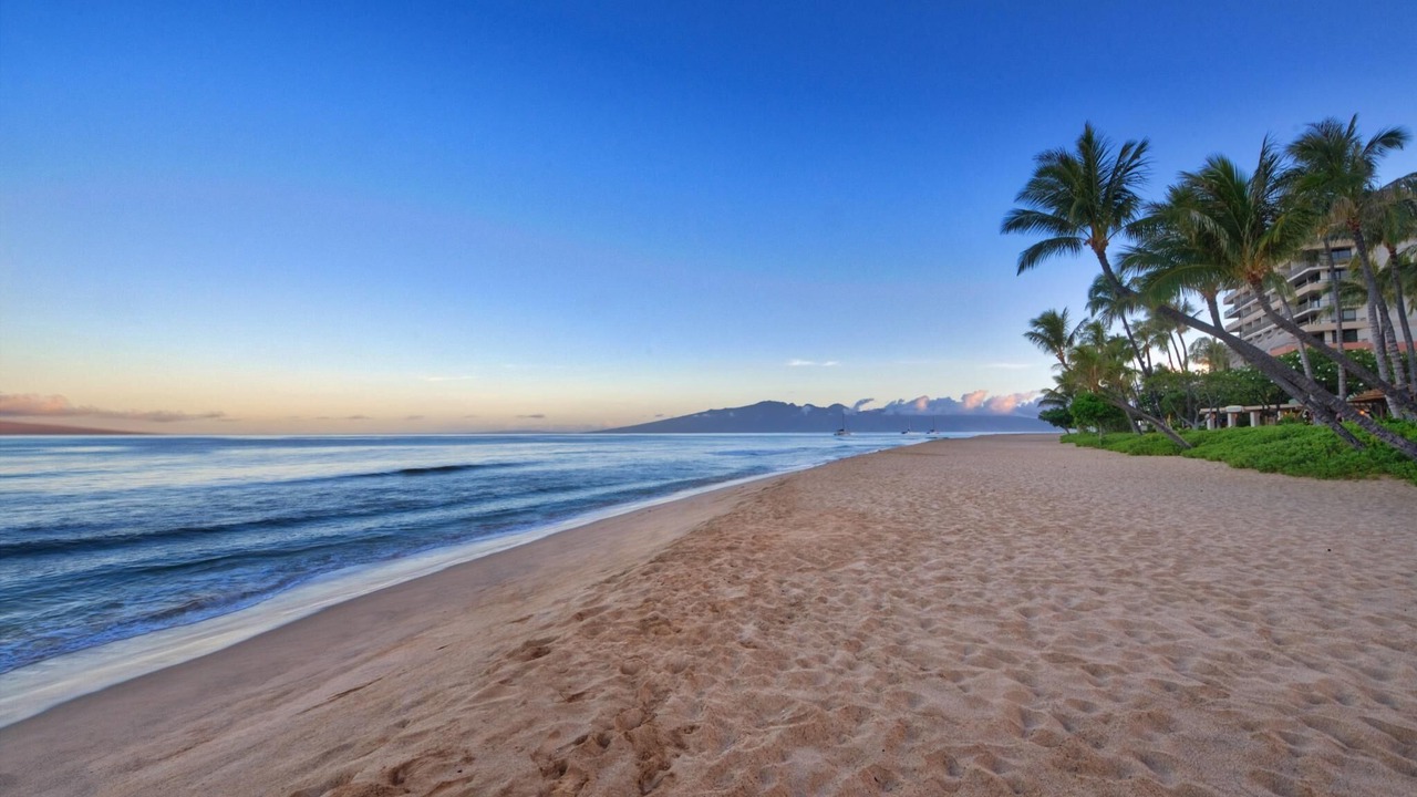 Photo of Others in Lahaina