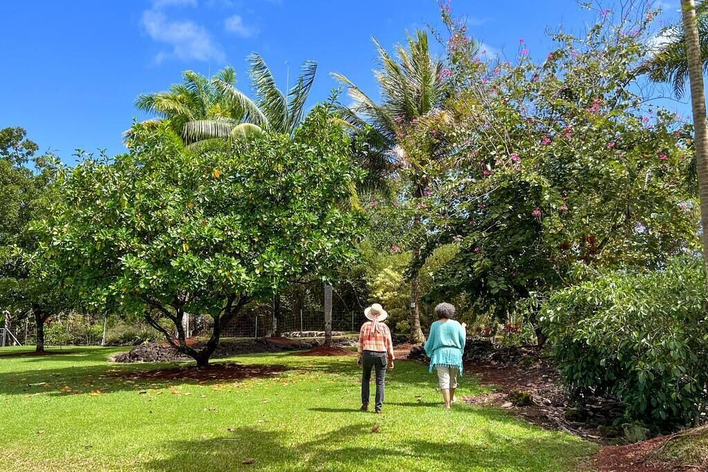 Photo of Outdoor in Keaau