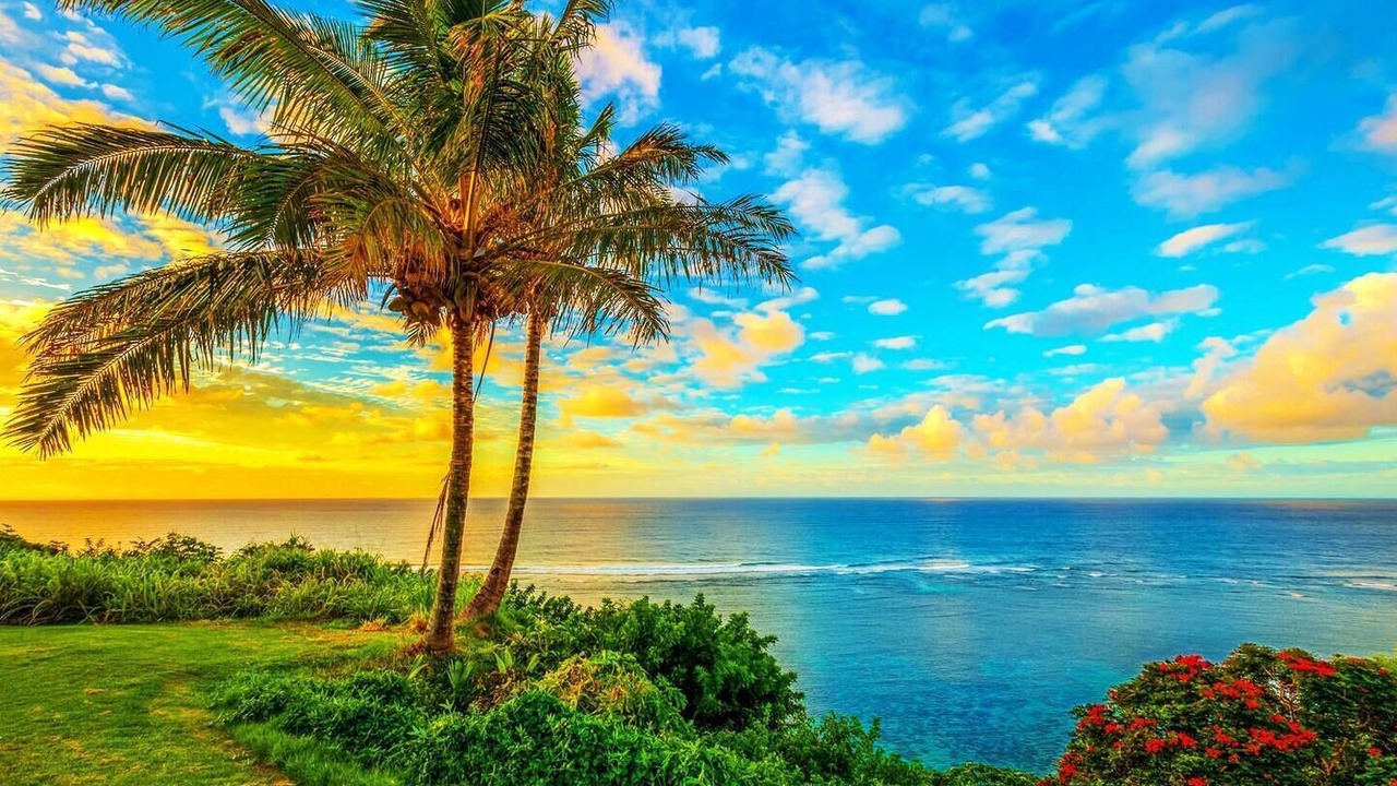 Photo of Outdoor in Princeville