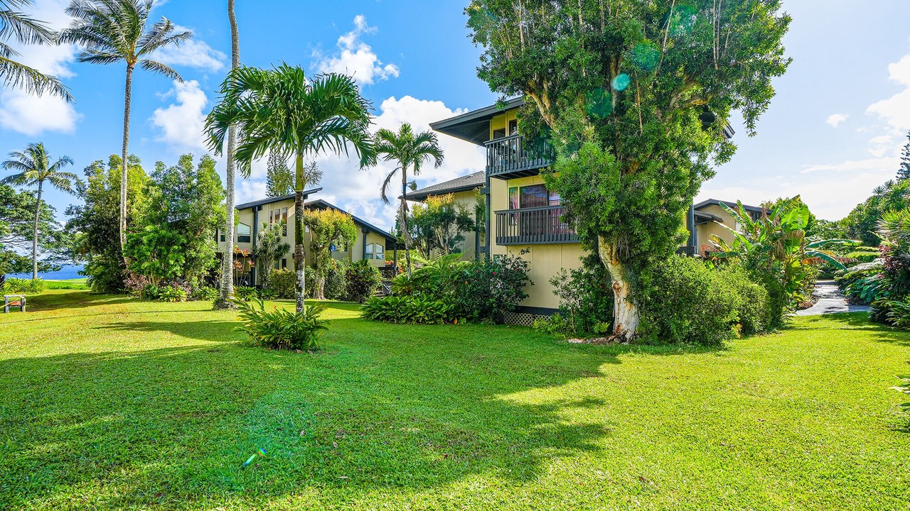 Photo of Outdoor in Princeville