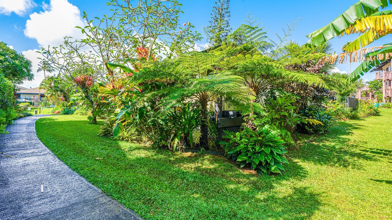 Photo of Outdoor in Princeville