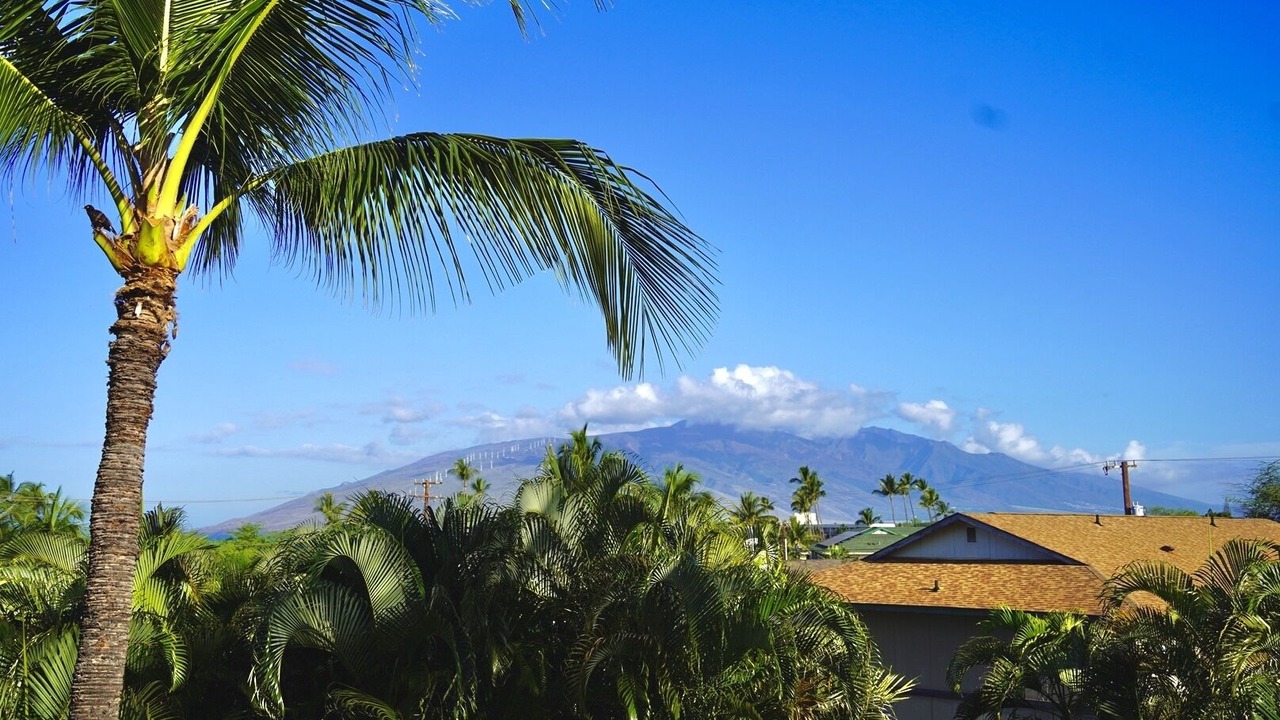 Photo of Others in Kihei