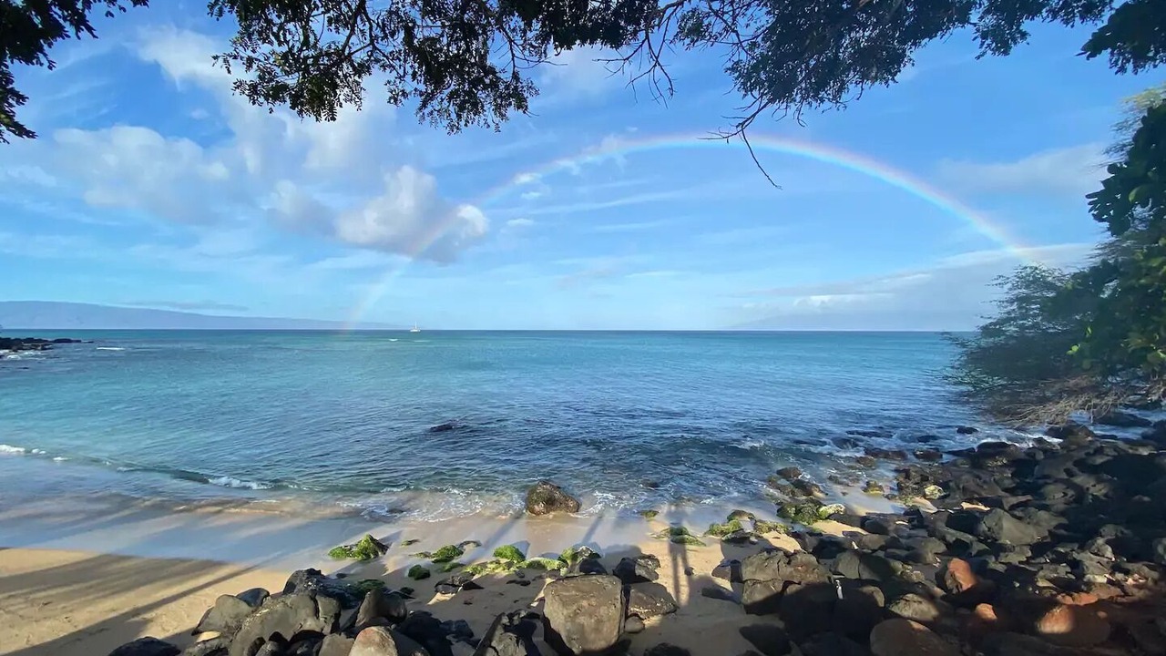Photo of Others in Kihei
