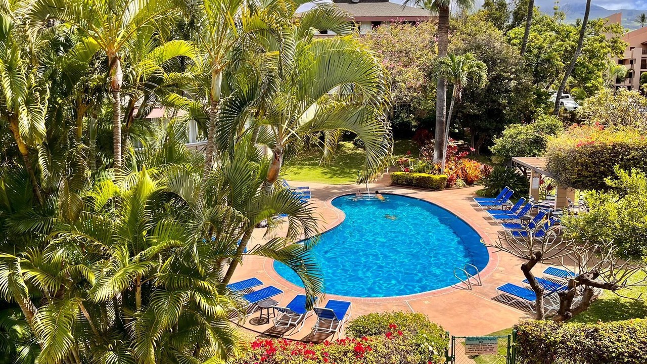 Photo of Outdoor in Kihei