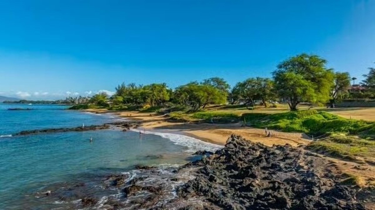 Photo of Others in Kihei