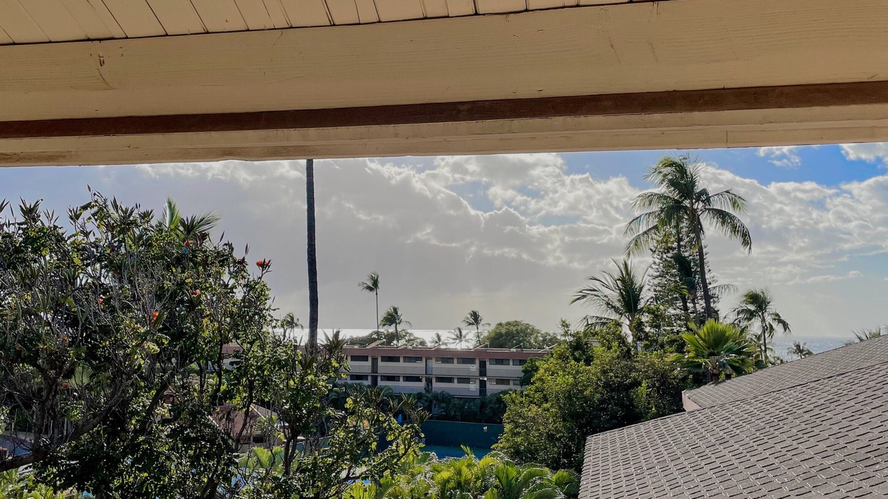 Photo of Outdoor in Kihei