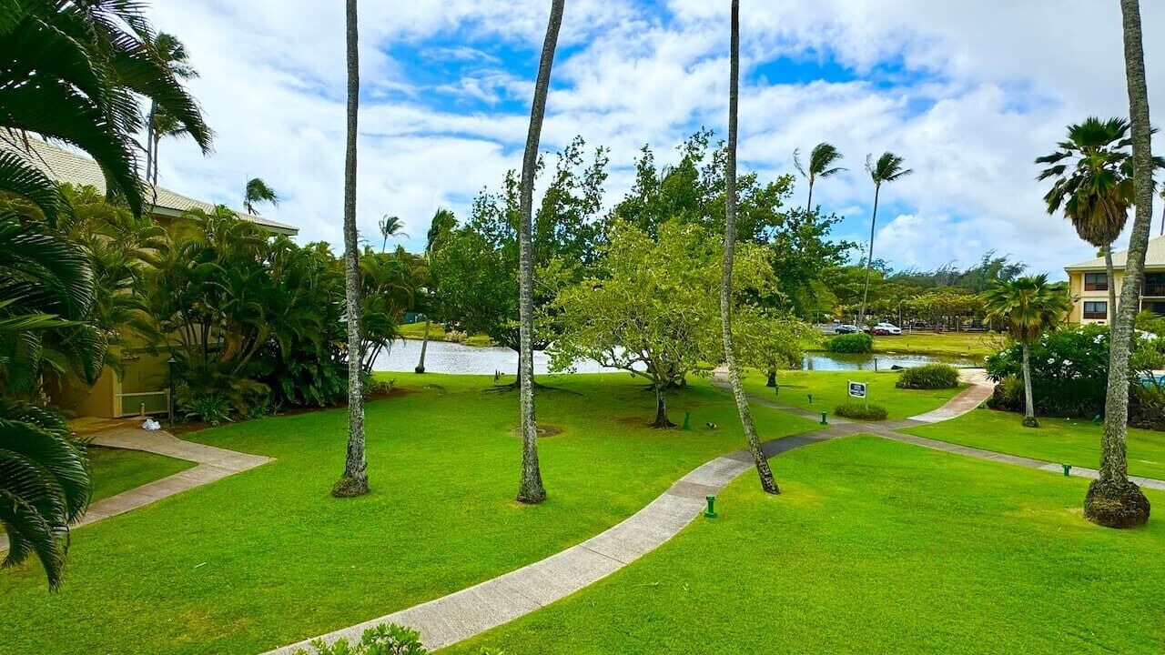 Photo of Outdoor in Hanamaulu