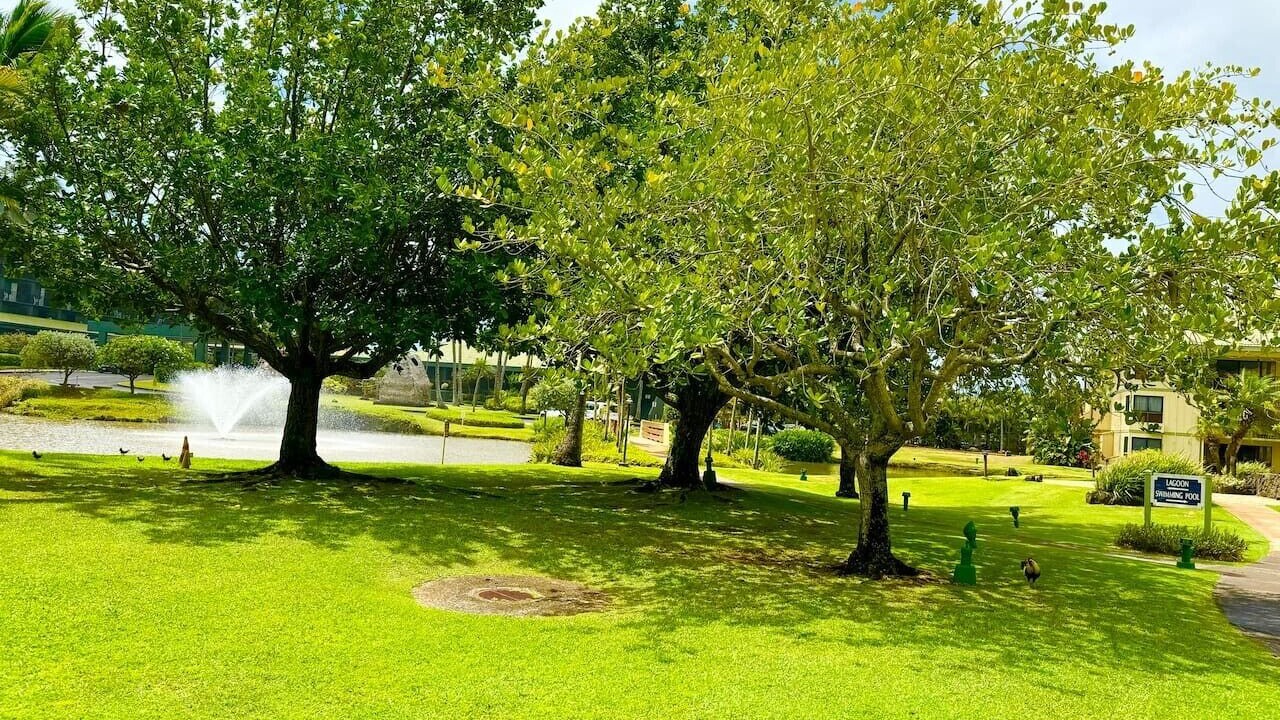 Photo of Outdoor in Hanamaulu