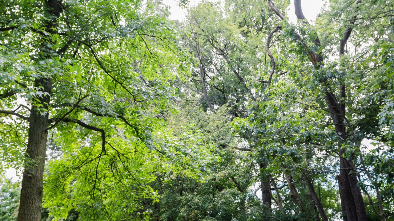 Photo of Outdoor in Robesonia