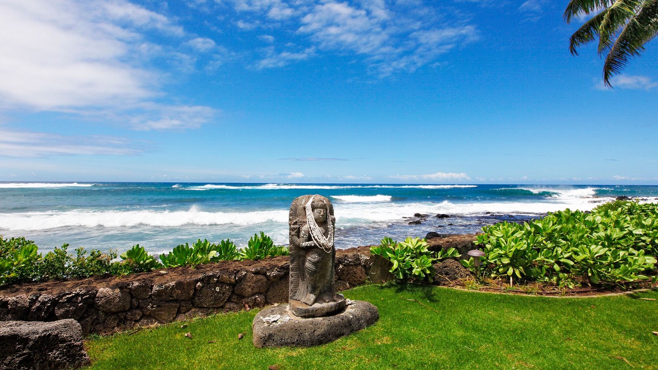 Photo of Others in Poipu