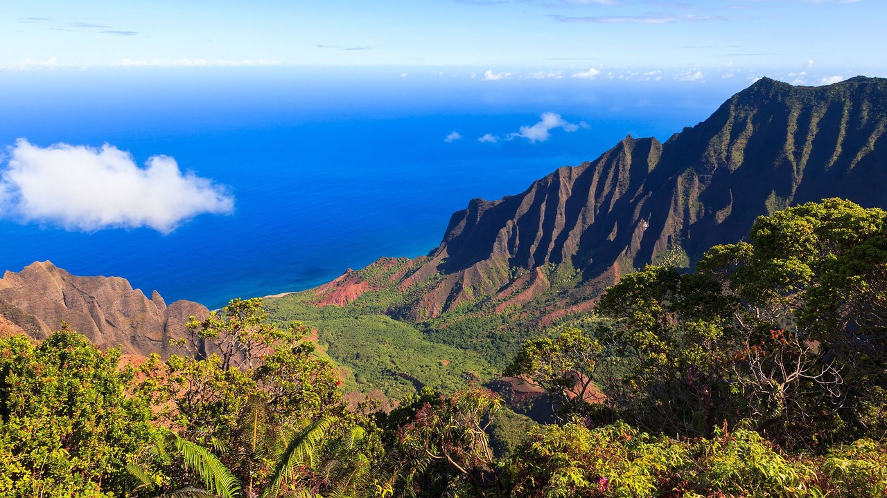 Photo of Others in Poipu